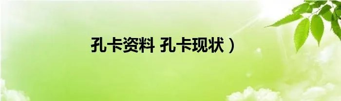 孔卡资料 孔卡现状)