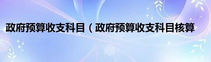 政府预算收支科目（政府预算收支科目核算