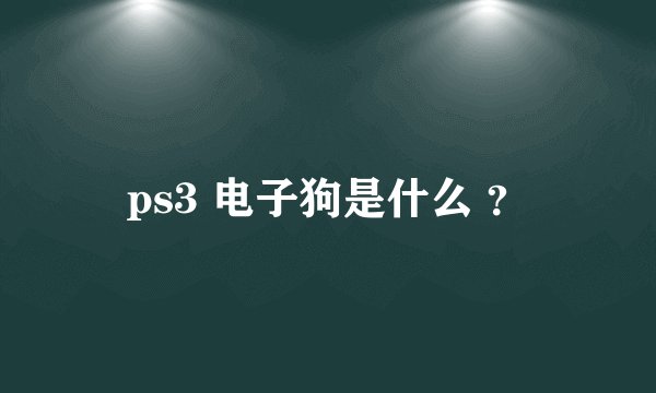 ps3 电子狗是什么 ?