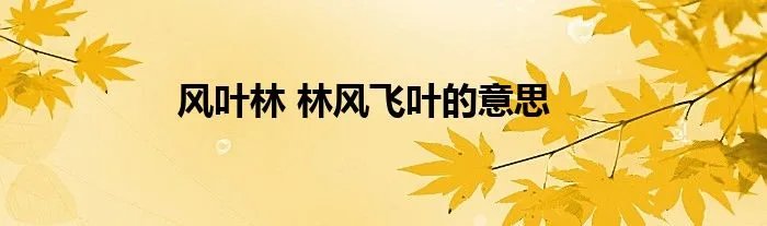 风叶林 林风飞叶的意思