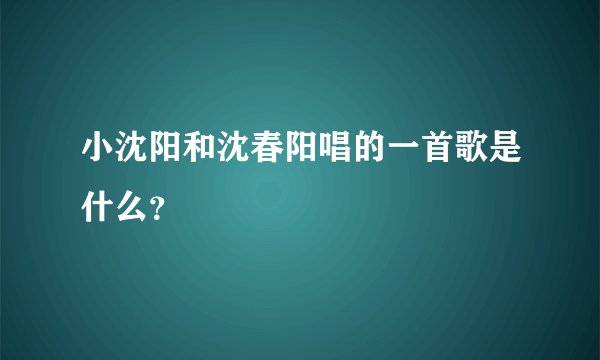 小沈阳和沈春阳唱的一首歌是什么？