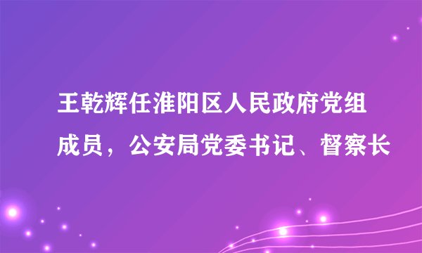 王乾辉任淮阳区人民政府党组成员，公安局党委书记、督察长