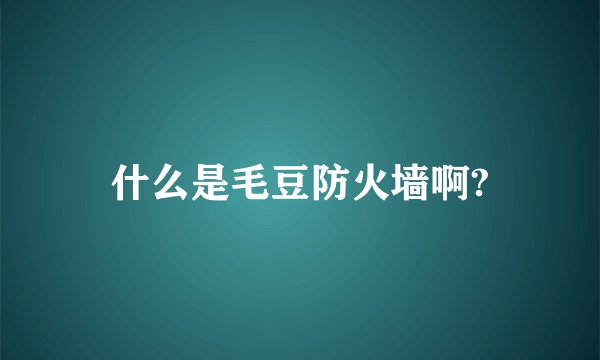什么是毛豆防火墙啊?