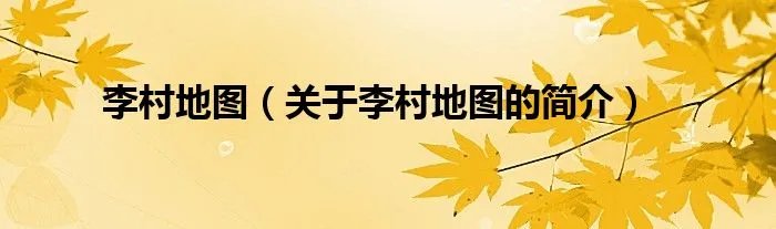 李村地图（关于李村地图的简介）