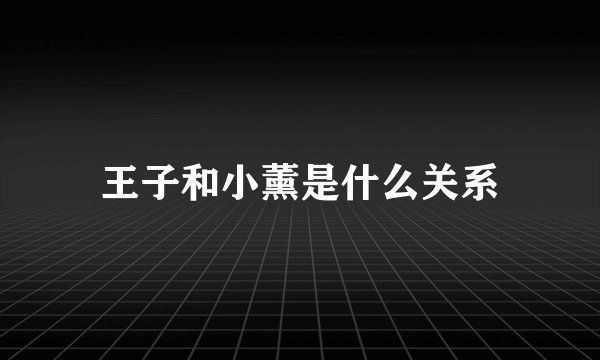 王子和小薰是什么关系