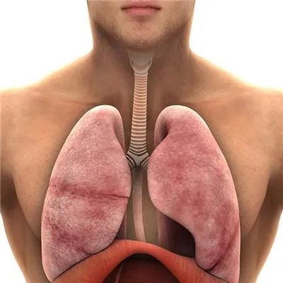 肺癌晚期死前症状