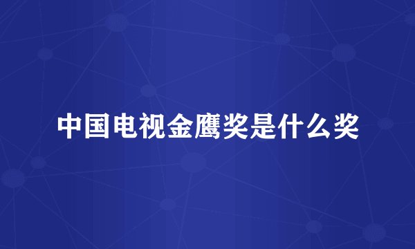 中国电视金鹰奖是什么奖
