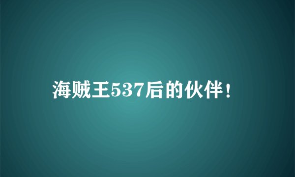 海贼王537后的伙伴！