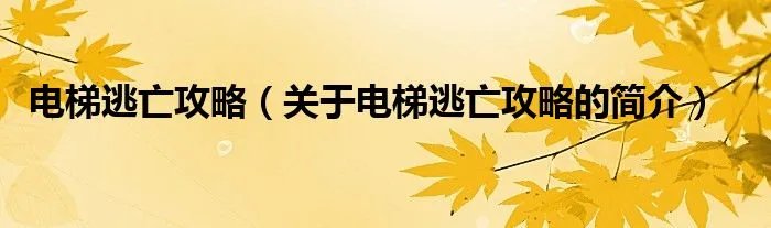 电梯逃亡攻略（关于电梯逃亡攻略的简介）