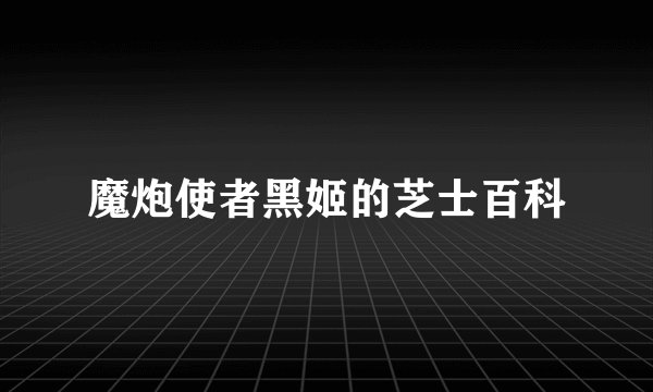 魔炮使者黑姬的芝士百科