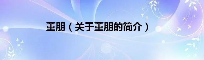 董朋（关于董朋的简介）