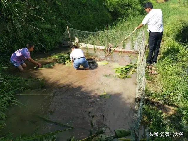 湖北省什么时候可以解除封锁?
