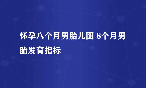 怀孕八个月男胎儿图 8个月男胎发育指标