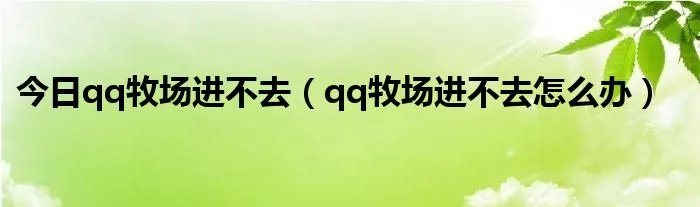 今日qq牧场进不去（qq牧场进不去怎么办）