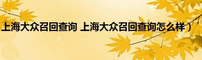 上海大众召回查询 上海大众召回查询怎么样）