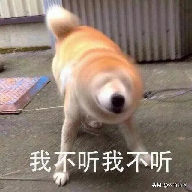 为什么留学中介不做印度或者非洲留学?