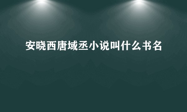 安晓西唐域丞小说叫什么书名