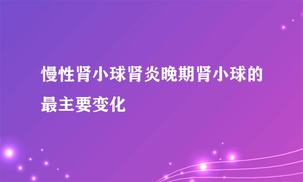 慢性肾小球肾炎晚期肾小球的最主要变化