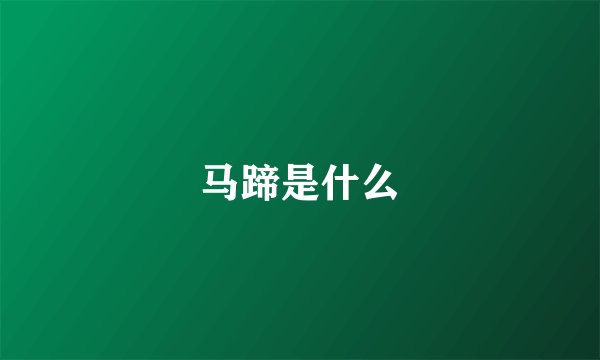马蹄是什么