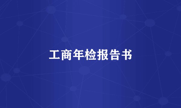 工商年检报告书