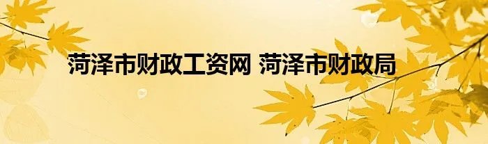 菏泽市财政工资网 菏泽市财政局