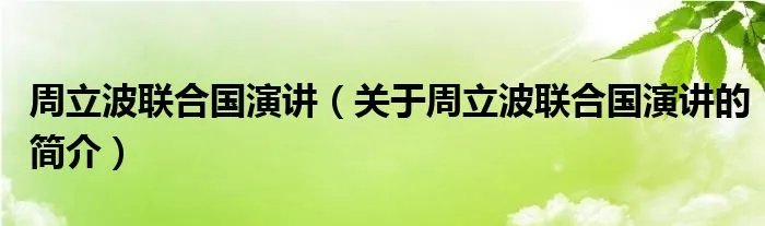 周立波联合国演讲（关于周立波联合国演讲的简介）