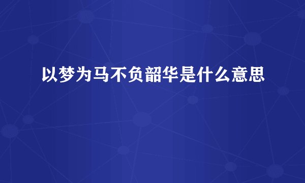 以梦为马不负韶华是什么意思
