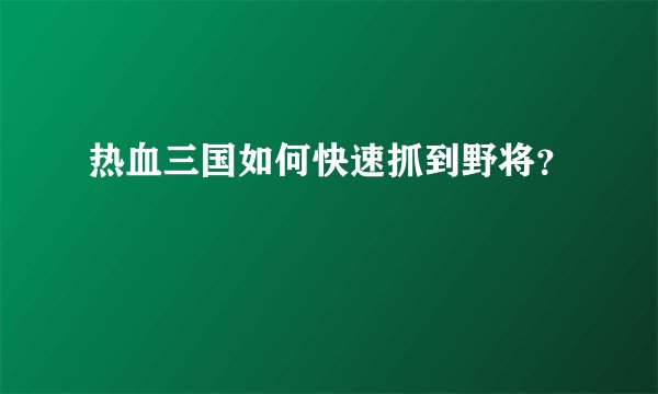 热血三国如何快速抓到野将？