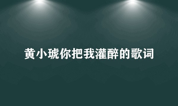 黄小琥你把我灌醉的歌词