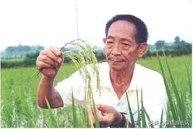 袁隆平真的逝世了吗?