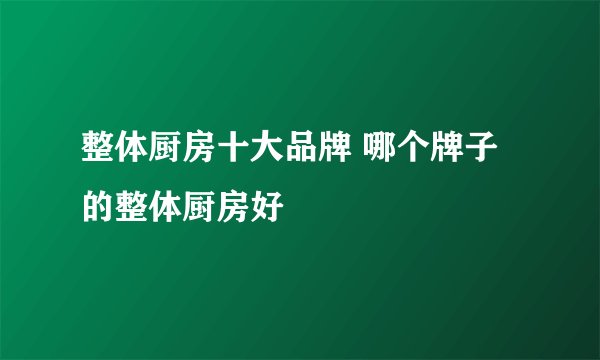 整体厨房十大品牌 哪个牌子的整体厨房好