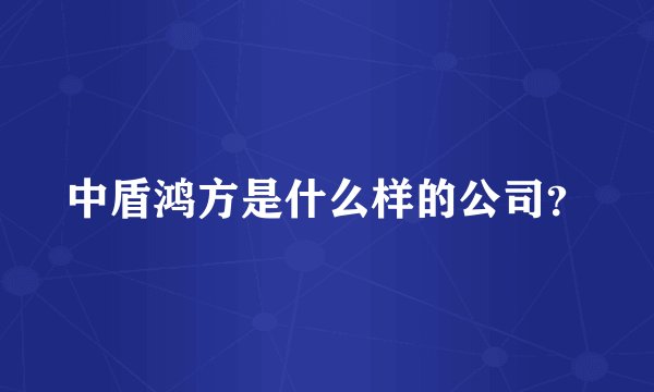 中盾鸿方是什么样的公司？