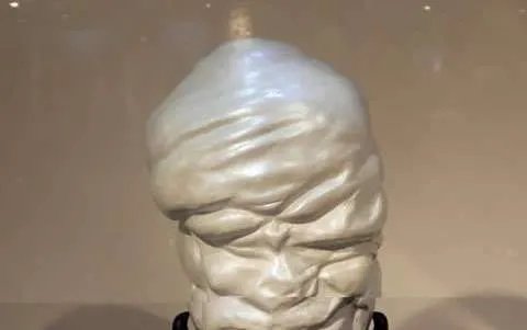 世界上最大的珍珠——老子之珠,如人脑一般大