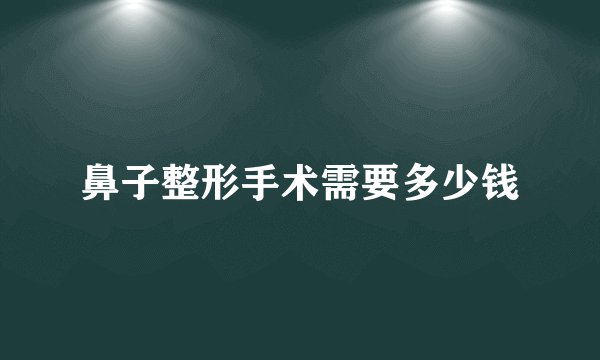 鼻子整形手术需要多少钱