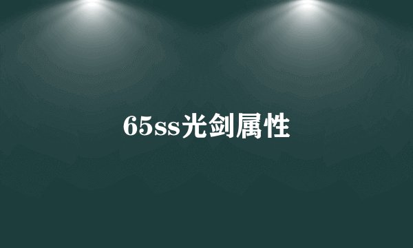 65ss光剑属性