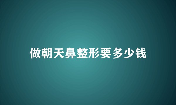 做朝天鼻整形要多少钱