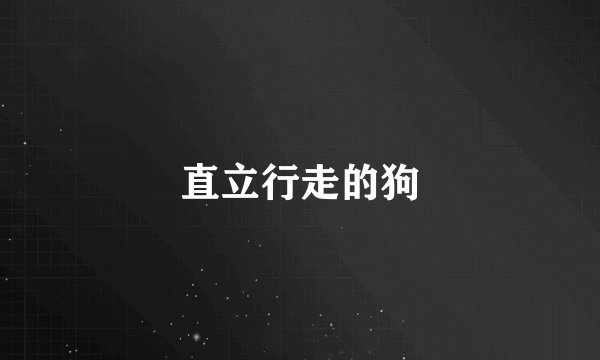 直立行走的狗