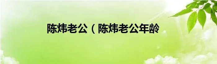 陈炜老公(陈炜老公年龄