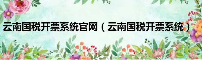 云南国税开票系统官网（云南国税开票系统）