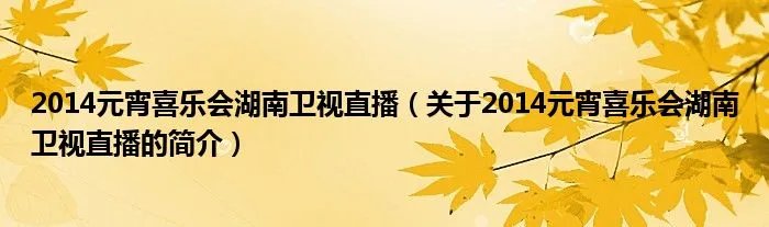 2014元宵喜乐会湖南卫视直播(关于2014元宵喜乐会湖南卫视直播的简介)