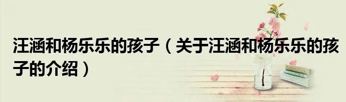 汪涵和杨乐乐的孩子（关于汪涵和杨乐乐的孩子的介绍）