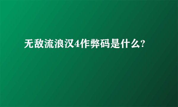 无敌流浪汉4作弊码是什么?