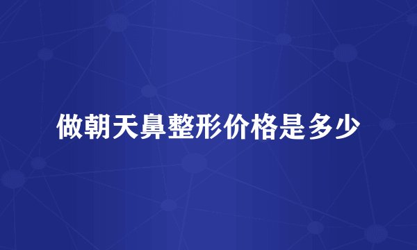 做朝天鼻整形价格是多少