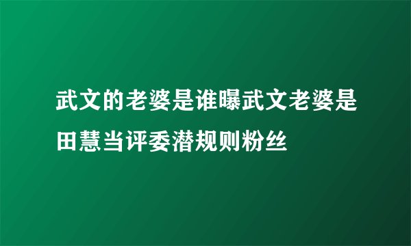 武文的老婆是谁曝武文老婆是田慧当评委潜规则粉丝
