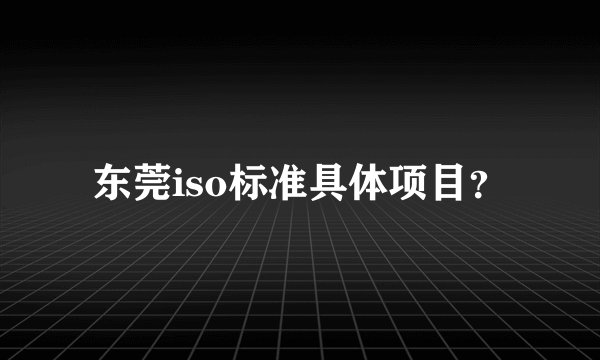 东莞iso标准具体项目？