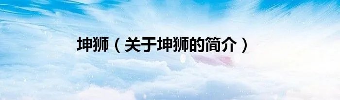 坤狮（关于坤狮的简介）