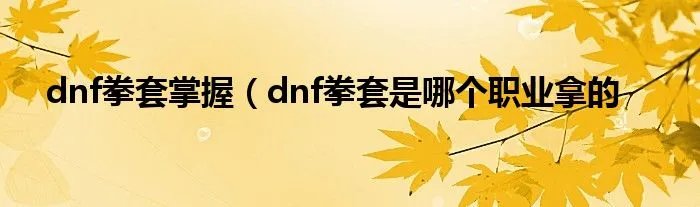 dnf拳套掌握（dnf拳套是哪个职业拿的
