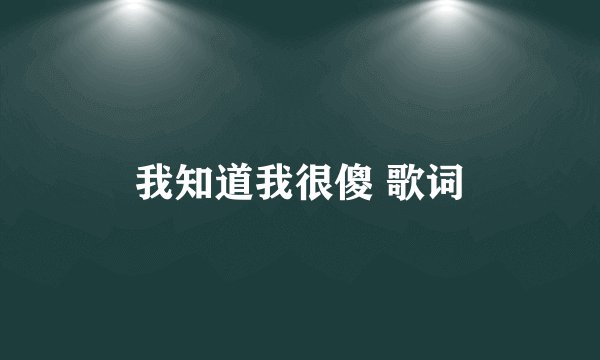 我知道我很傻 歌词