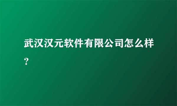 武汉汉元软件有限公司怎么样？