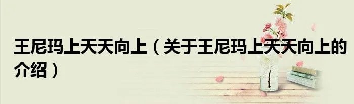 王尼玛上天天向上（关于王尼玛上天天向上的介绍）